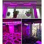 Plant Grow Light Tube  24W